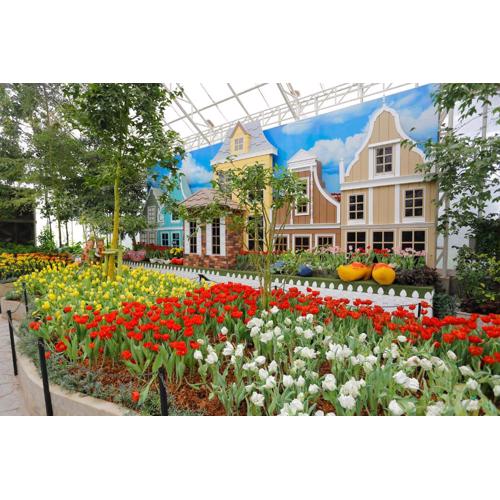 Play La Ploen Boutique Resort and Adventure Camp