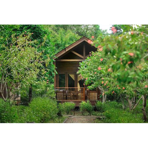 Plengkung Lodge G-Land