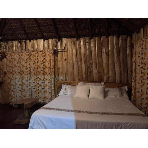 Podocarpus Cottages -02