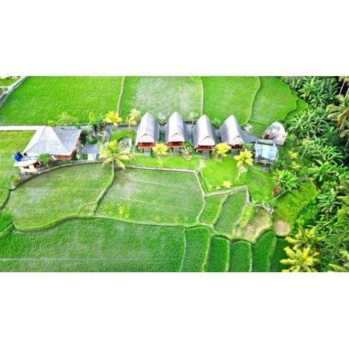 Pondok Gandalangu Ubud-Dikelilingi Hamparan Sawah