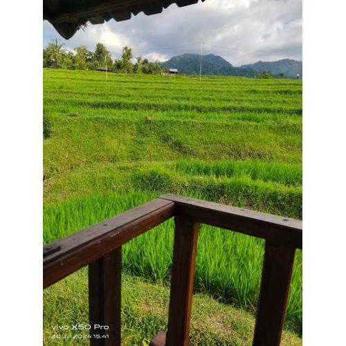 Pondok Pengaringan Loon