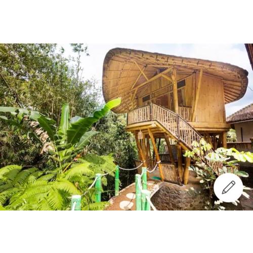 Pondok Salacca#bamboohouse#