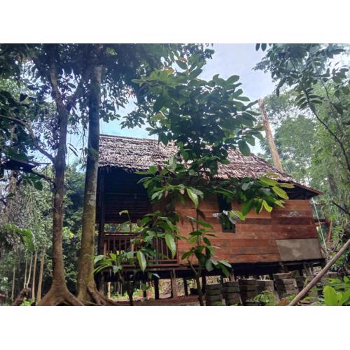 Pondok Wisata kamtabai Forest Hut