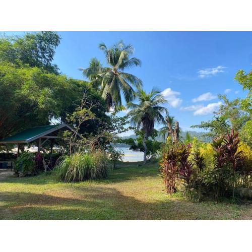 Port Barton - Paradiso Azul Campsite Beachfront with Internet