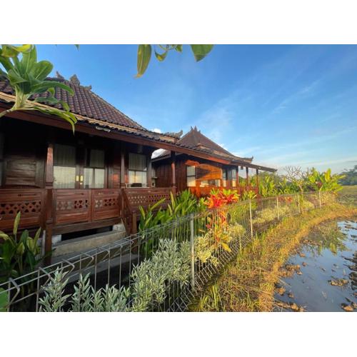 Precious Journey Retreat