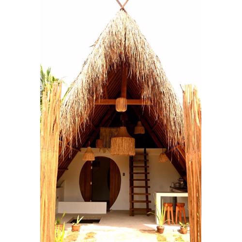 Pretty Jungle Siargao