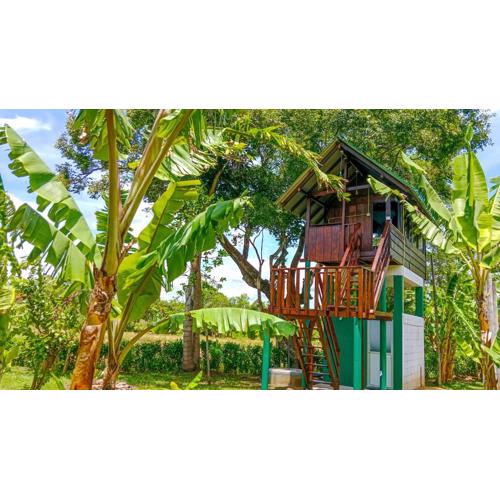 Pride Rock Villa & Tree House