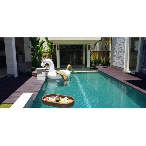 Privat Pool Villa with Kitchen at seminyak