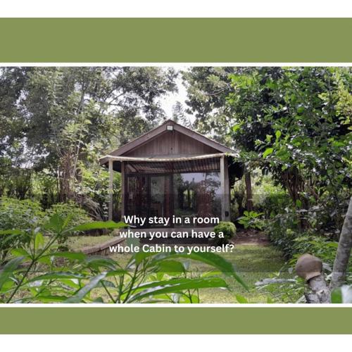 Private Cabin and private Kitchen - Experience serenity, and beautiful nature