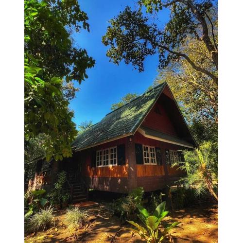 Private Forest Cottage in Near Chiang Mai