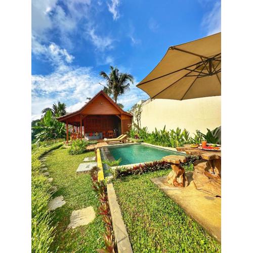Private Pool villa-Romantic-near ubud