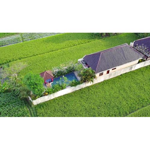 Private pool Villa Sawah Sewon
