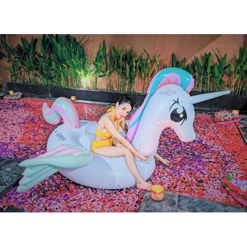 Private Pool Villas Kuta Bali