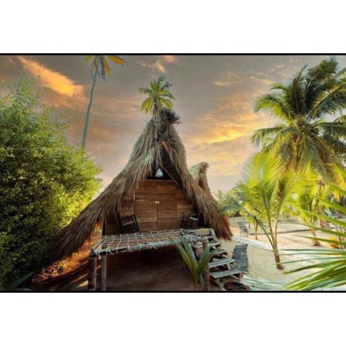 Punta Cana Ecolodge In front of the beach Lavacama Costa Arrecife by BTC Crypto Group