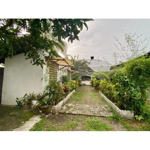 Punta Landing Travellers Inn