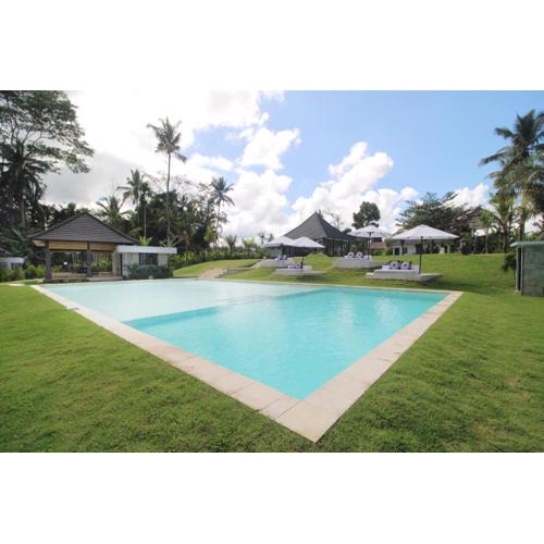 Puri Hijau Villa with Jungle View in Tegalalang Ubud
