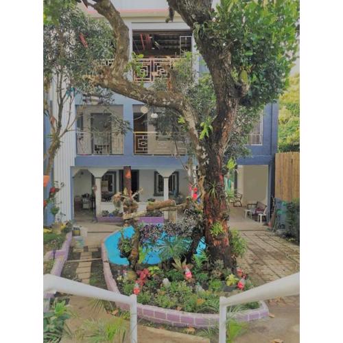 Purple Orchid Bed and Breakfast