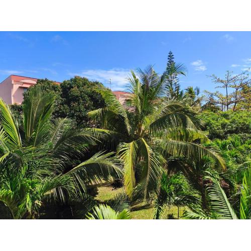 R Garden Fleury Sur Mer Trou aux Biches