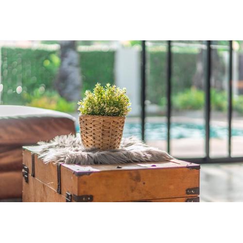 R3市区近海热带园林风格800m到海边的大泳池别墅