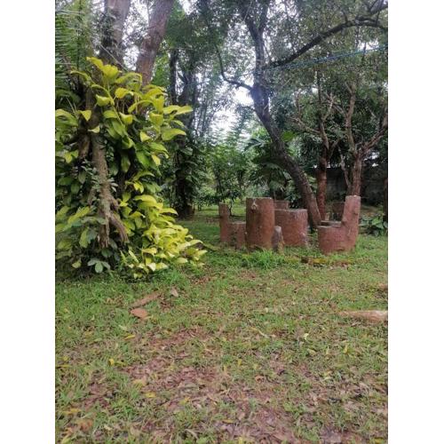 Raffles hotel & Family Restaurant