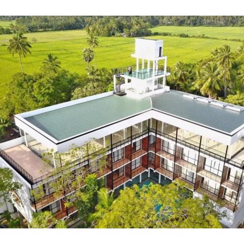 Rain Tree by Oak Ray