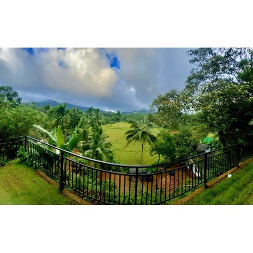 Rainforest Border Edge