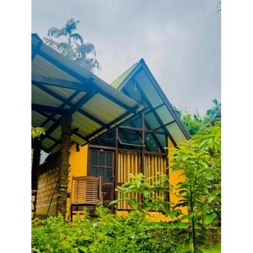 Rainforest cabin