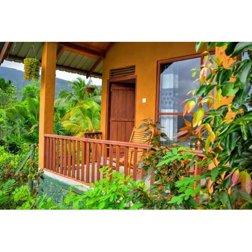 Rainforest Nature House