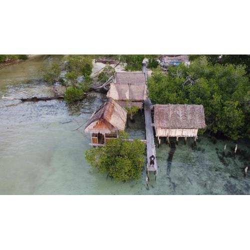 Raja Ampat Homestay