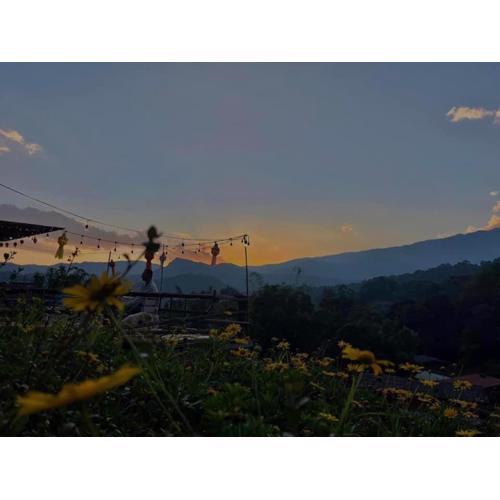 Rakkhao Inthanon Homestay and Camping