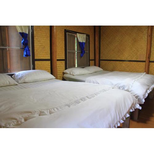 Rangbondoi - Birdhides Included and available for birding guide