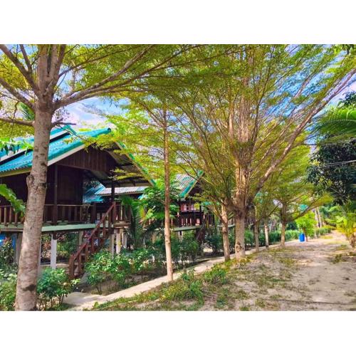 Rasta House,,Koh Phayam