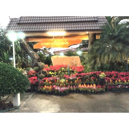 Rayong Phurua Resort