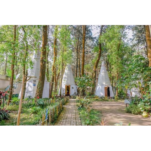 RedDoorz @ Apache Camp