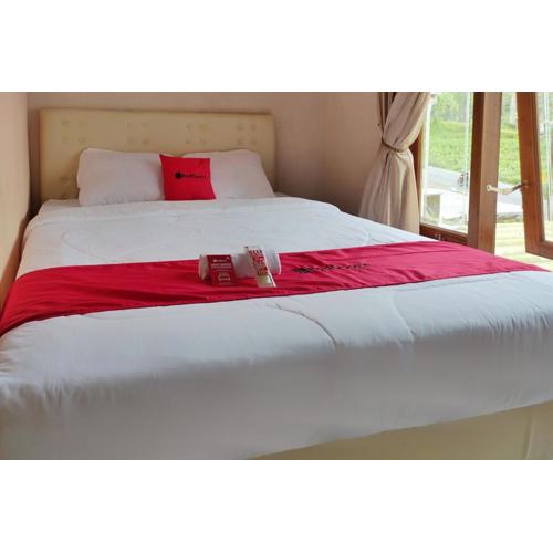 RedDoorz near Agrowisata Kebun Teh Dieng