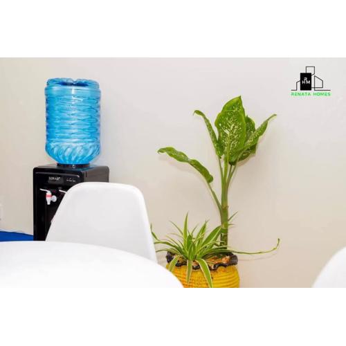 Renata Executive Homes