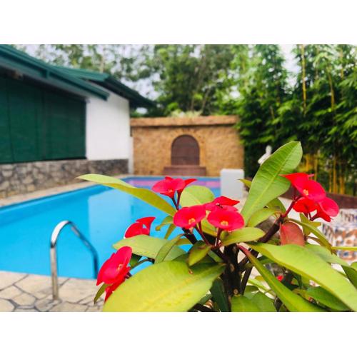 Resolve Garden Hotel