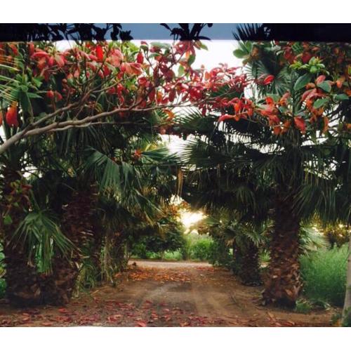 Revaloo farm (Family Only)