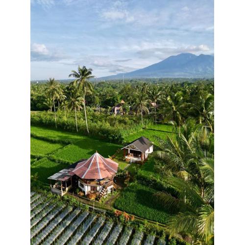 Rice Field inn - Lombok