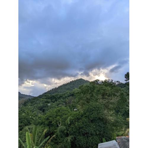 Rich Secret Rooms Ella