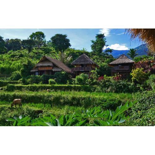 Rinjani Mountain Garden