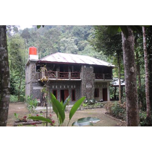 Rinte Green Village & Bukit Lawang Jungle Trekking