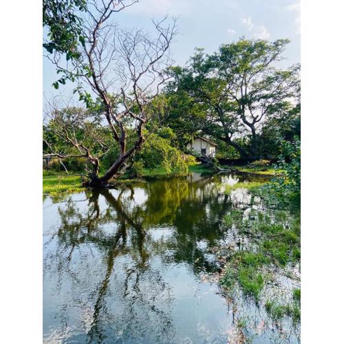 River Park Resort Arugambay