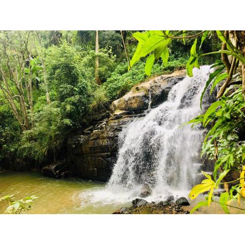 River Splendour Home Stay