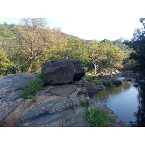 Riverston Green Parrot Villa