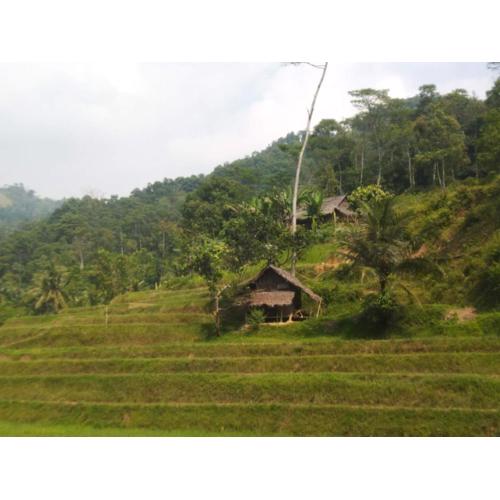 RMH88 Stationery Store