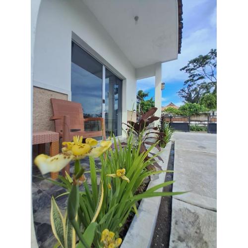 Robiu Bed & Breakfast