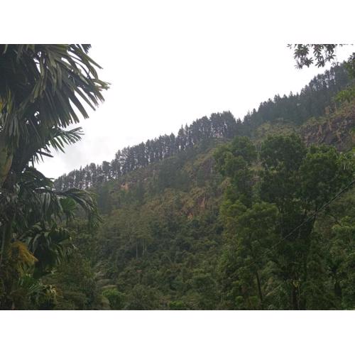 Rock View Holiday Bungalow