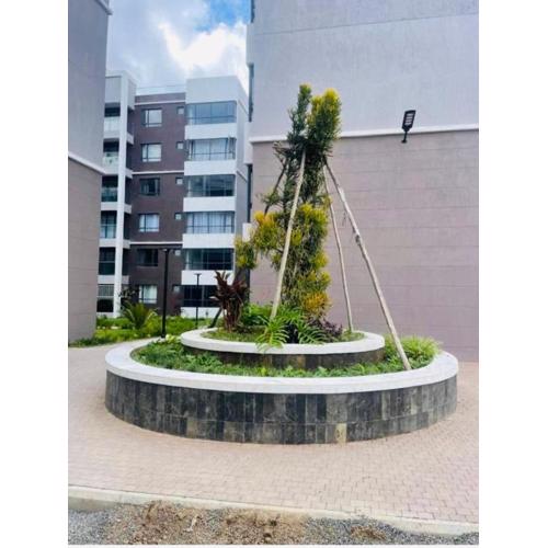 Roly Haven Studio Apartment