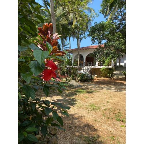 Rose Cottage Unawatuna - Guesthouse